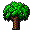 arbre