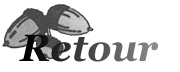 retour.gif (3633 octets)